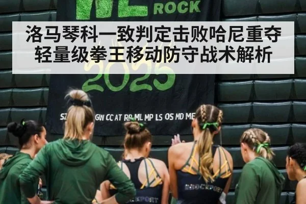 洛马琴科一致判定击败哈尼重夺轻量级拳王移动防守战术解析
